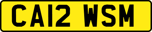 CA12WSM