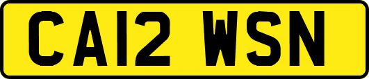CA12WSN