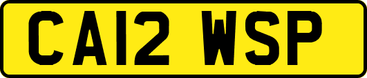 CA12WSP