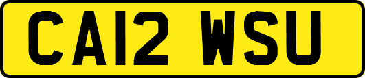 CA12WSU