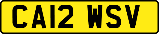 CA12WSV