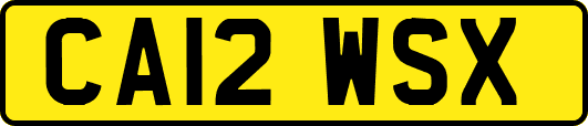 CA12WSX