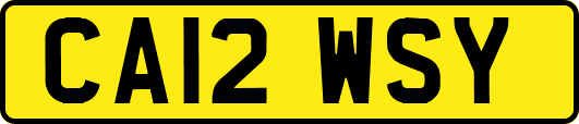 CA12WSY