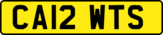 CA12WTS