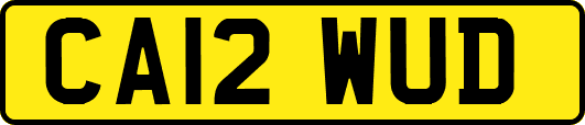 CA12WUD