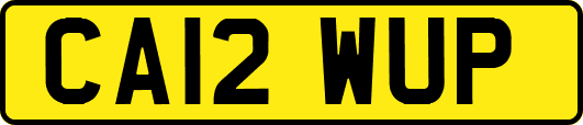 CA12WUP