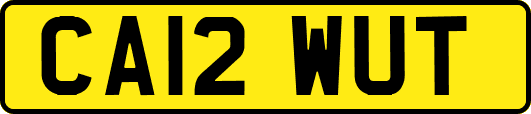 CA12WUT