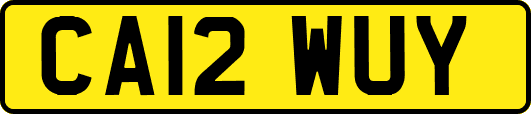 CA12WUY