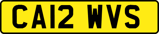 CA12WVS