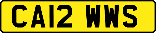 CA12WWS