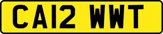 CA12WWT
