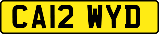CA12WYD