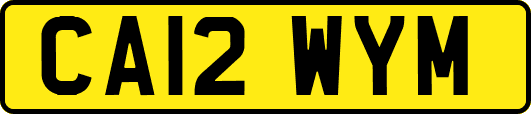 CA12WYM
