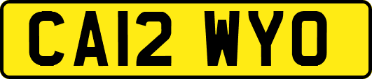 CA12WYO