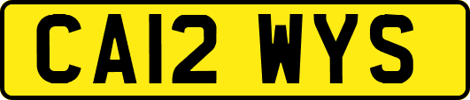 CA12WYS