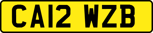 CA12WZB