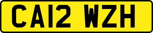 CA12WZH