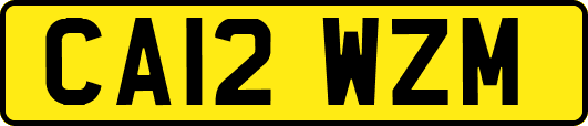 CA12WZM