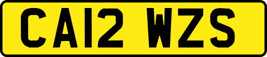 CA12WZS