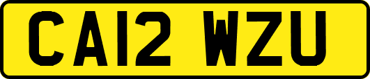 CA12WZU