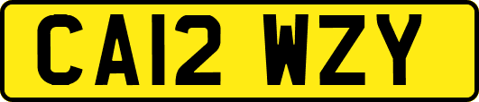 CA12WZY