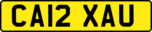 CA12XAU