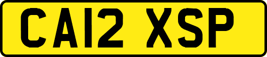CA12XSP