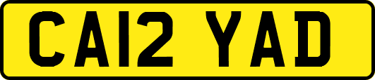 CA12YAD