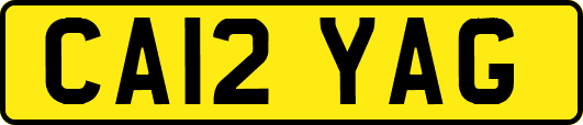 CA12YAG