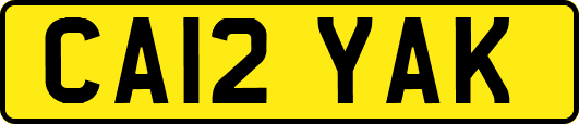 CA12YAK