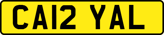 CA12YAL