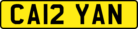 CA12YAN