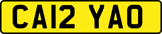 CA12YAO