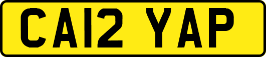 CA12YAP