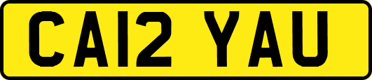 CA12YAU