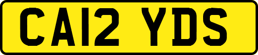 CA12YDS