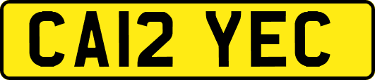 CA12YEC