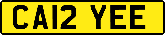 CA12YEE
