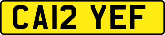 CA12YEF