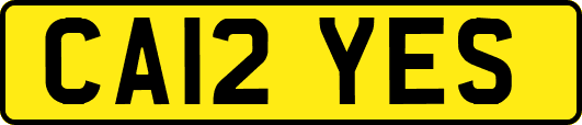 CA12YES