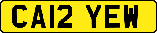 CA12YEW