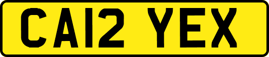 CA12YEX