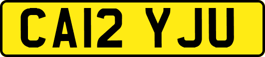 CA12YJU