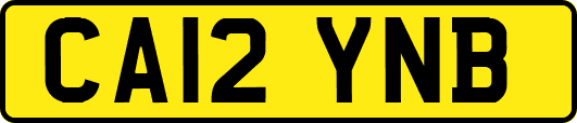 CA12YNB