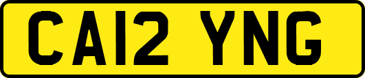 CA12YNG