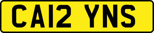 CA12YNS
