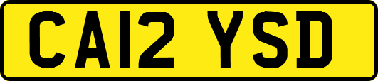 CA12YSD