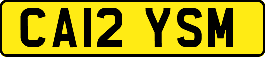 CA12YSM