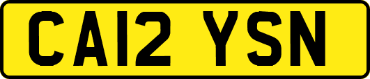 CA12YSN