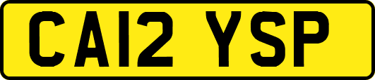 CA12YSP